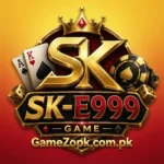 E999 Game login