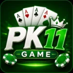 pk11 game